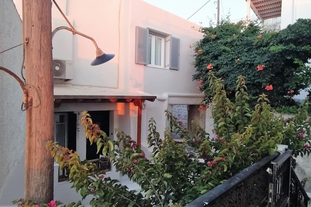 Naxion Esti - Διαμονή Στην Παλιά Χώρα Της Νάξου Villa Naxos City Eksteriør bilde