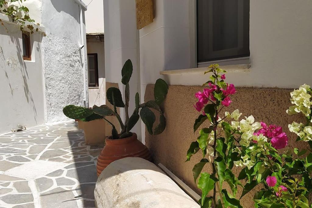 Naxion Esti - Διαμονή Στην Παλιά Χώρα Της Νάξου Villa Naxos City Eksteriør bilde