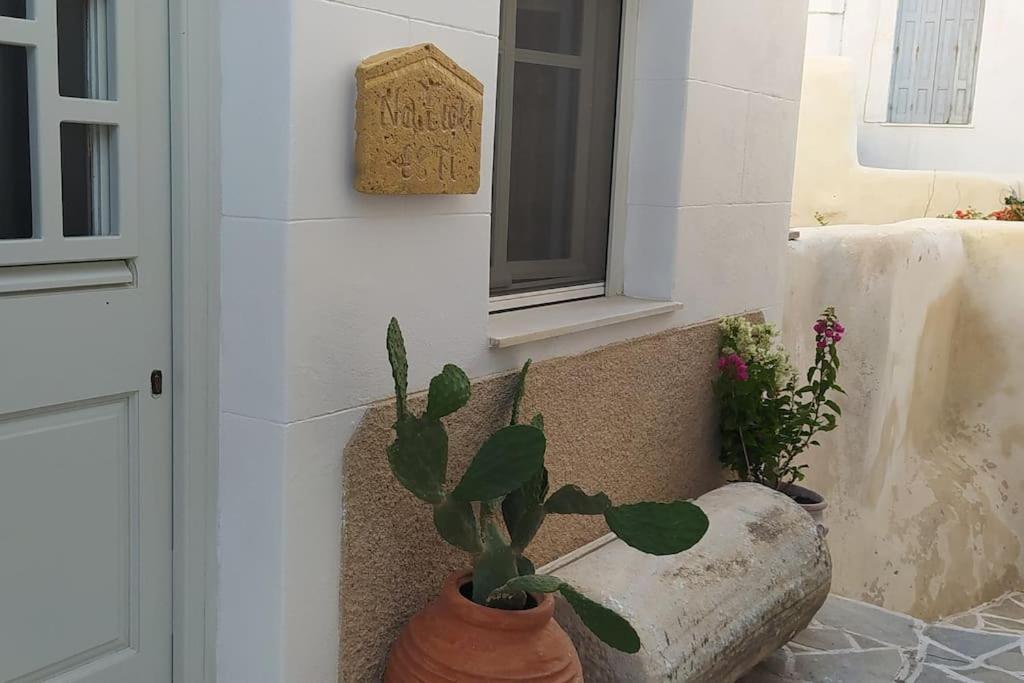 Naxion Esti - Διαμονή Στην Παλιά Χώρα Της Νάξου Villa Naxos City Eksteriør bilde